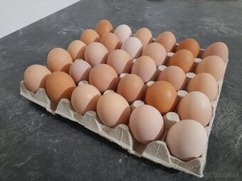 Predám domáce vajíčka