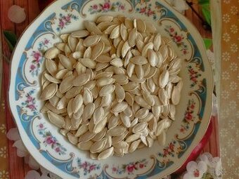 Ponukám na predaj tekvicové jadierka