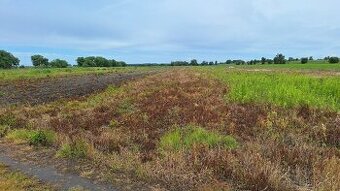 Pozemok pri obci Zohor