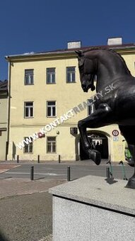 Obchodné priestory a objekty, Kováčska, Staré mesto, 55m2, č