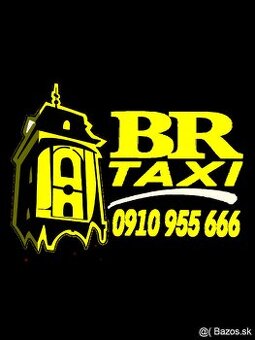 Vodič taxi služby