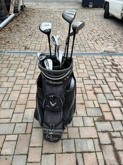 Golfové palice