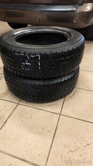2ks zimne 195/65 R15