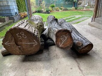 Orechové kmene, guľatina