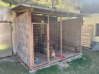 voliera pre psa koterec pre psa búda pre psa