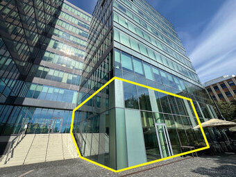Prenájom prízemného obchodného priestoru 185 m² na prémiovej