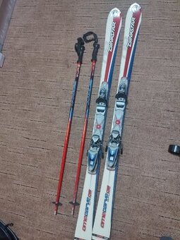 Predam lyze Dynastar amecarve