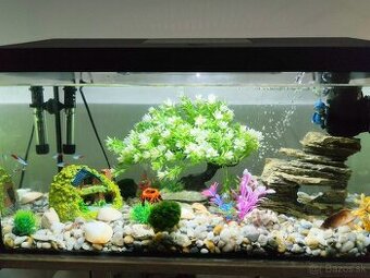 Aquarium aquarel 55l