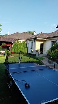 Robopong 545 - Ping Pong partner