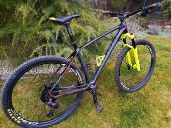 FOCUS Raven carbon