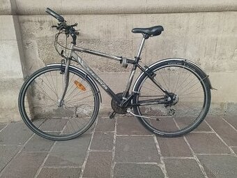 DEMA assisi