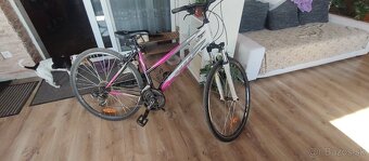 KTM Jessie