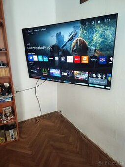 Philips 65"