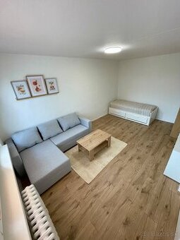 1-izbovy byt v centre