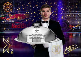 Max Verstappen 2021 World Champion Red Bull F1 RB16B Abu Dha