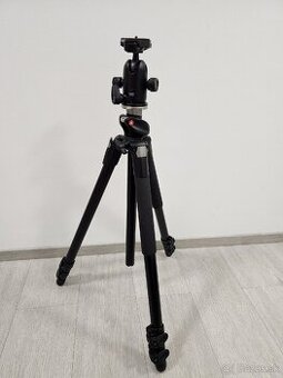 Manfrotro 055XPROB + 498RC2