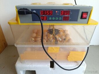 Liaheň na vajíčka 2x 56ks