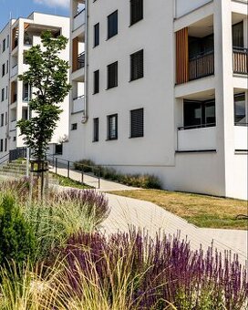 Prenájom 1,5-izb byt Vinohrady - 1