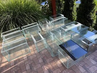 Akvarium, Akvaria, chovna