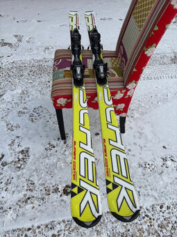 Univerzalne lyže 170cm FISCHER s palicami 120cm