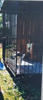 Voliera Koterec Klietka Ohrada Búda pre psa