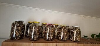 Sušené huby 4L.