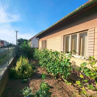 Na predaj sedliacky  Rd Kuraľany Okres Levice