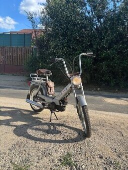 Babetta 207