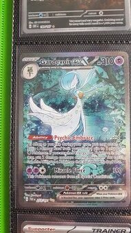Pokemon karty