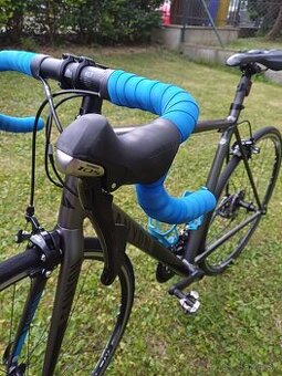 CANYON Endurace AL