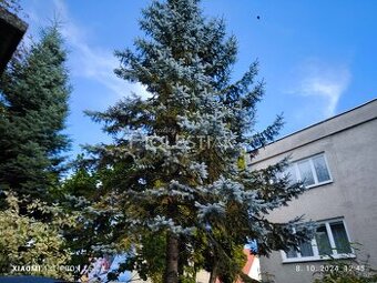 Odporúčané - Predám rodinný dom v centre mesta Čadca - 1