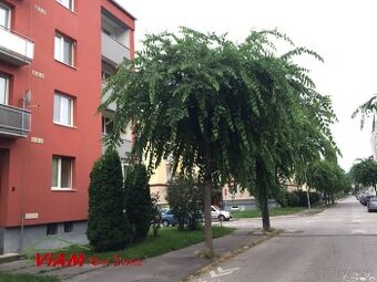 2 izbový byt Trenčín, na prenájom, Sihoť, od 01.12.2025