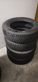 225/65 R17 zimné Nexen Winguard