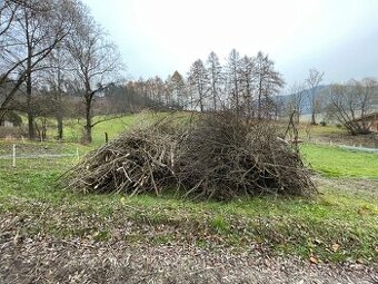 Darujem drevo na štiepku