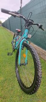 Detsky biykel CTM Mony vekost 24