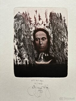 Albin Brunovsky - grafika