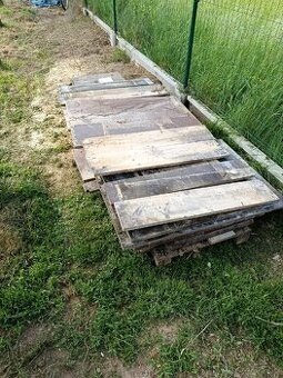 Preglejka