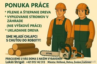 Pílenie, štiepanie, ukladanie dreva, vypiľovanie,…