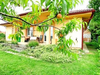 Rodinný dom (dva domy) na pozemku 1 087 m2, Trnávka - (DS)