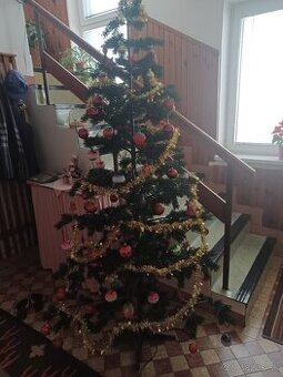 Predam Vianocny stromcek