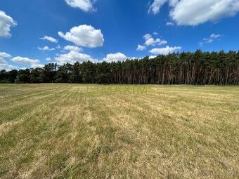 Lúka pod lesom v Jablonovom