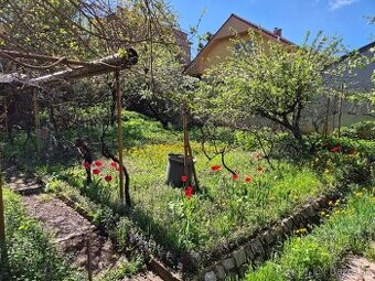 3 izbovy priestranny byt s zahradou