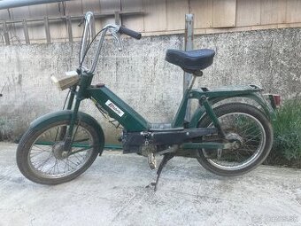 Babeta 207