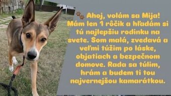 Darujem
