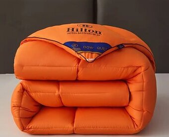 Paplon hilton