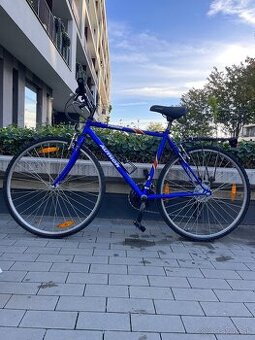 Trekingovy Bicykel Author prime