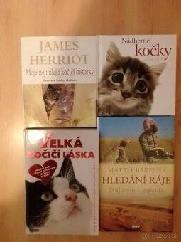 Knihy- mačky, zvieratá, levy, fínčina, Calm (v angličtine)