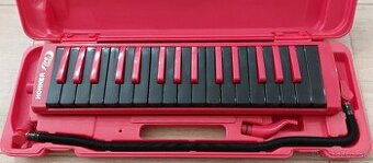 Predám melodiku, bicí pad, činely, klarinet, gitaru.