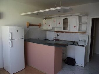 Здаю житло в Левіце для українців.