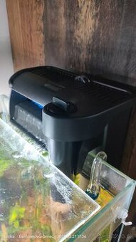 Filtrácia do akvária